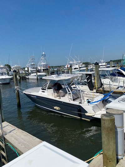 BOATZON | Cutwater C24 CW 2021