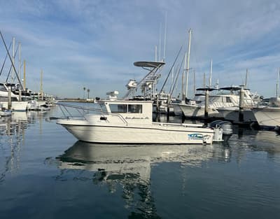 BOATZON | Davis Rock Harbor 25 2012