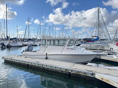 BOATZON | Defiance San Juan 220 2024