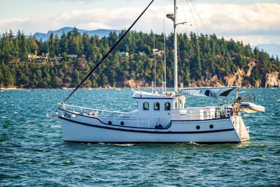 BOATZON | Diesel Duck 41Plus 2009