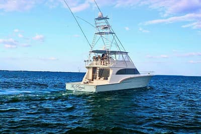 BOATZON | Donzi 73 Sportfish 2001