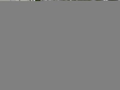 thumbail-icon