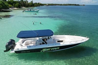 BOATZON | Eduardono Bravo 380 2009