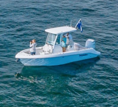 BOATZON | Everglades 243 Center Console 2022 BOATZON | Everglades 243 Center Console 2022