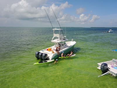 BOATZON | Everglades 350 2012