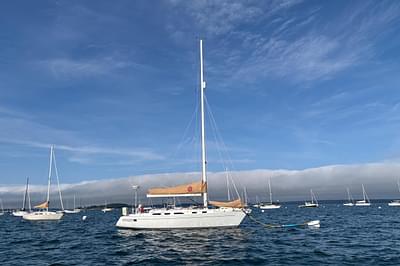 BOATZON | Freedom 38 1991