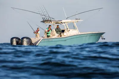 BOATZON | Grady-White Canyon 336 2023