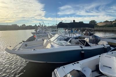 BOATZON | GradyWhite Freedom 215 2019 BOATZON | GradyWhite Freedom 215 2019