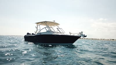 BOATZON | GradyWhite Freedom 255 2018