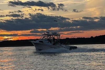 BOATZON | GradyWhite Marlin 300 1999