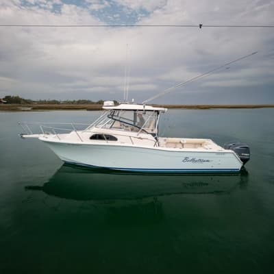 BOATZON | GradyWhite Marlin 300 2001