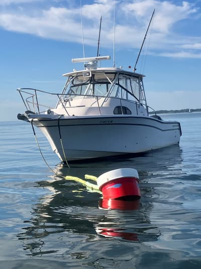 BOATZON | GradyWhite Marlin 300 2002