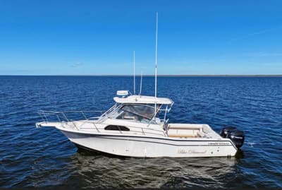 BOATZON | GradyWhite Marlin 300 2003