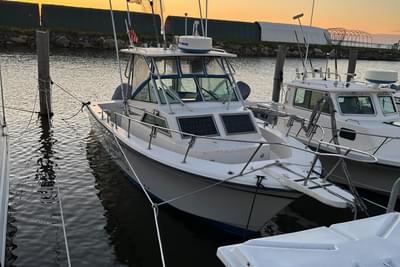 BOATZON | GradyWhite Sailfish 255 1988