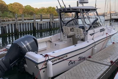 BOATZON | GradyWhite Seafarer 226 2001
