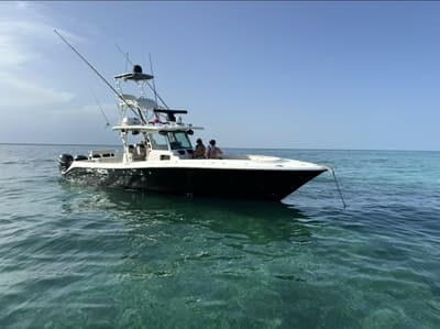 BOATZON | HCB 3900 Speciale 2017