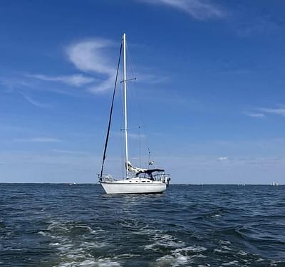 BOATZON | Hunter 34 1983