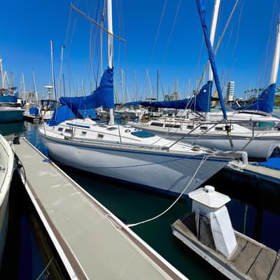 BOATZON | Hunter 34 1984 BOATZON | Hunter 34 1984