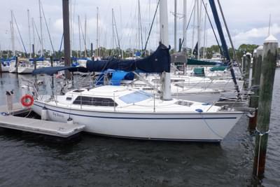 BOATZON | Hunter Vision 32 1989