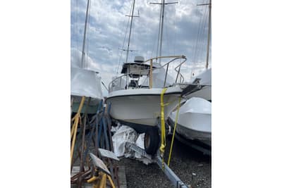 BOATZON | Hydra-Sports 230 Seahorse CC 2000
