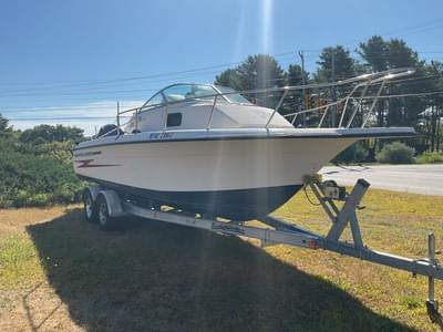 BOATZON | HydraSports 230 SEA HOURSE WA 1999
