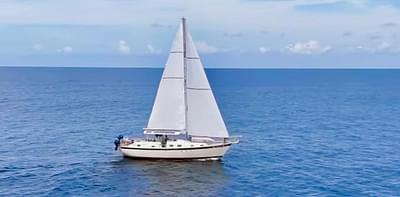 BOATZON | Irwin 37 1974 BOATZON | Irwin 37 1974
