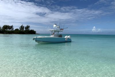 BOATZON | Jupiter 30 HFS 2019