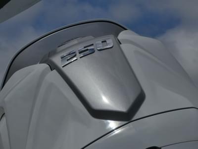 thumbail-icon