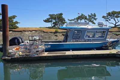 BOATZON | KingFisher 2825 Coastal Express 2021