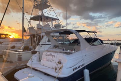 BOATZON | Larson Cabrio 370 2006