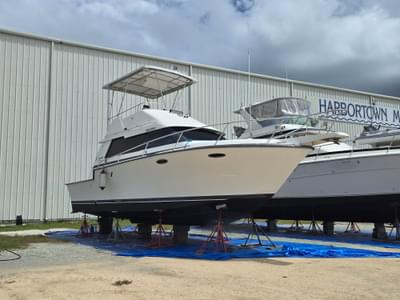 BOATZON | Luhrs 342 Sport Fisher 1990 BOATZON | Luhrs 342 Sport Fisher 1990