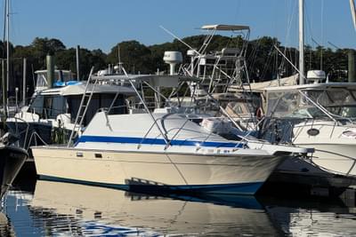 BOATZON | Luhrs Tournament 290 1986