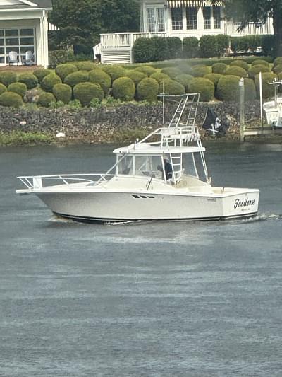 BOATZON | Luhrs Tournament 290 Open 1993