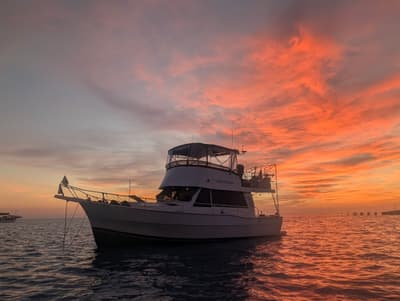 BOATZON | Mainship 390 Trawler 2001