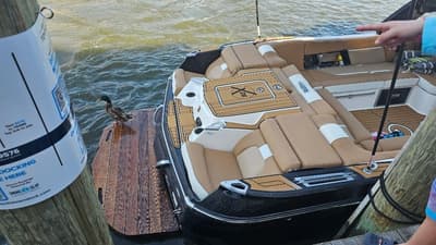 thumbail-icon