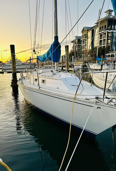 BOATZON | Morgan 32 1982 BOATZON | Morgan 32 1982