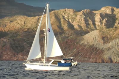 BOATZON | Morgan Out Island 33 MS 1980 BOATZON | Morgan Out Island 33 MS 1980