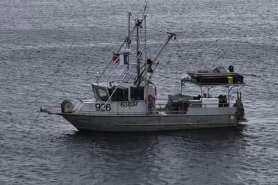 BOATZON | Munson 38 Aluminum Commercial Dive 1992