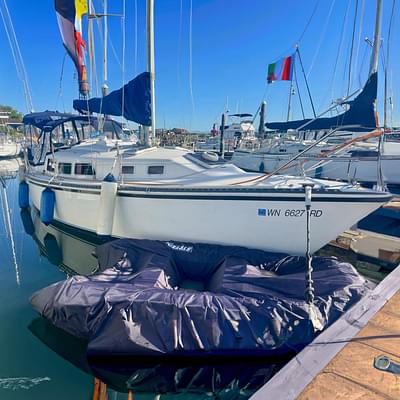 BOATZON | Newport 326 1995 BOATZON | Newport 326 1995