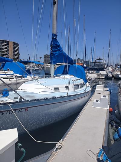 BOATZON | Newport Sail 1984