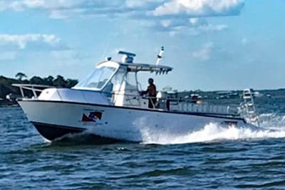 BOATZON | Newton 31 Dive Special 2014