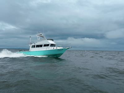 BOATZON | North River Almar Sounder 40 2014 BOATZON | North River Almar Sounder 40 2014