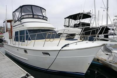 BOATZON | Nova 36 SUNDECK 1986 BOATZON | Nova 36 SUNDECK 1986