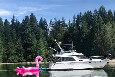 BOATZON | Ocean Alexander 39 Sedan 1986 BOATZON | Ocean Alexander 39 Sedan 1986