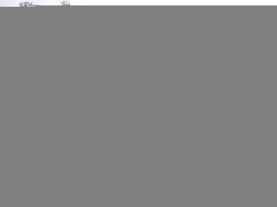 thumbail-icon