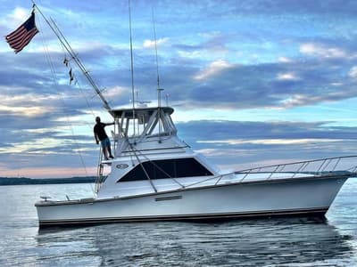 BOATZON | Ocean Sportfish 1981