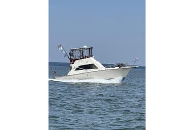 BOATZON | Pace 36 1991