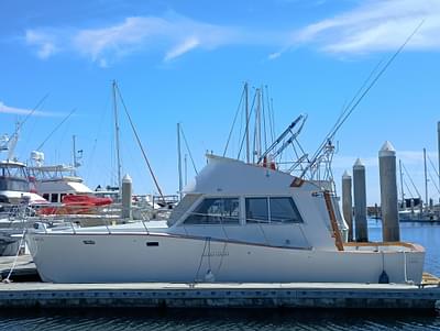 BOATZON | Pacific Bluefin SPF 1978