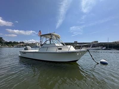 BOATZON | Parker 2310 Walkaround 2008 BOATZON | Parker 2310 Walkaround 2008