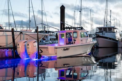 BOATZON | Parker Explorer 247 2026 BOATZON | Parker Explorer 247 2026